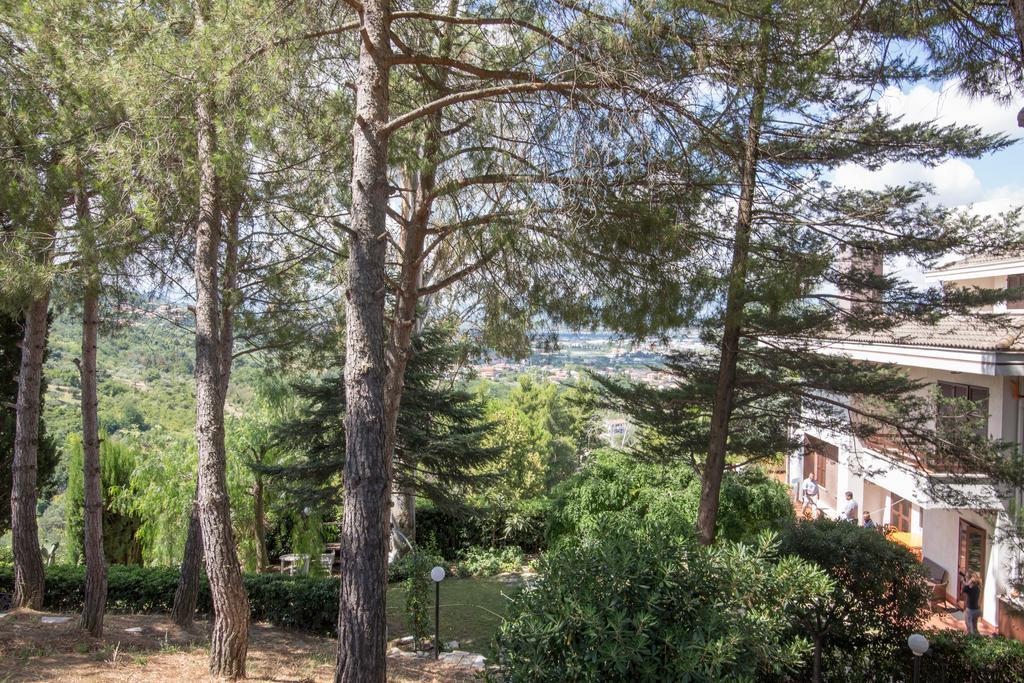 Aurum B&B San Giovanni Teatino Værelse billede